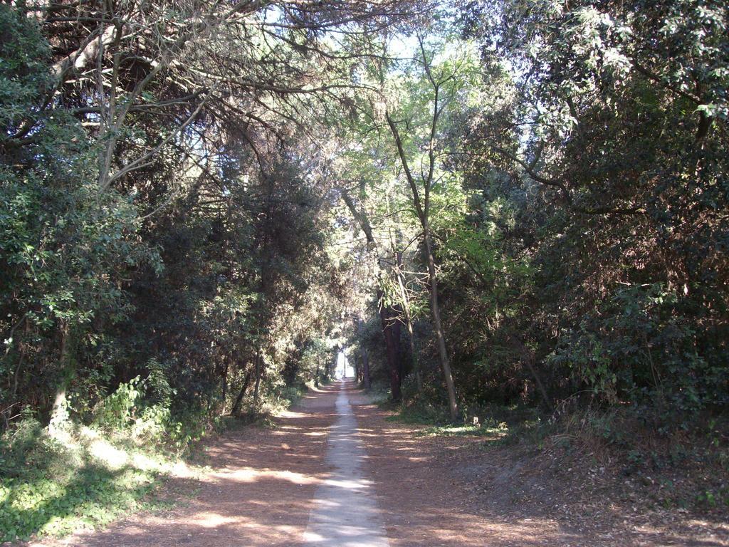 Agenzia Vear - Lido Di Volano Exteriör bild